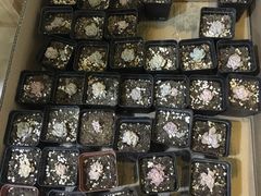 -无锡文化工艺品市场(槐古路店)