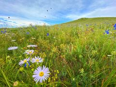 -塞罕坝国家级自然保护区