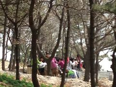 -燕窝岭