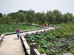 -仙山湖景区