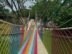 -苏州太湖西山岛开心农场