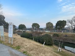 -羊山湖公园