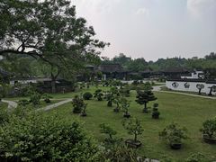 -盆景园(扬州大运河文化旅游度假区)