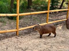 -南戴河国际娱乐中心