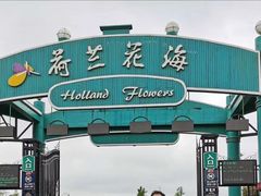 -荷兰花海
