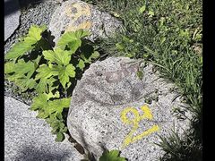 -古尔沟华美达温泉度假酒店