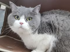 -美美宠物诊疗中心·异宠·骨科(滨江东信分院)