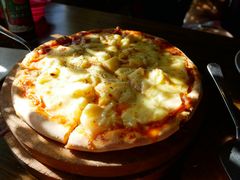 -百好乐宠物友好餐厅(朝外大街店)