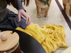 -逗柴咖啡屋·狗咖猫咖宠物桌游