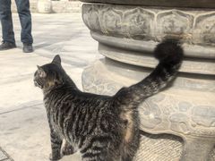 -大学习巷清真寺