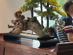 -顺峰(农展馆店)