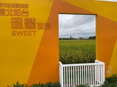 -嘉北郊野公园