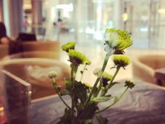 -THE WOODS 简餐 (国贸商城店)