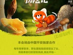 -柴犬小屋·柴餐厅·狗咖食堂(金鼎广场店)