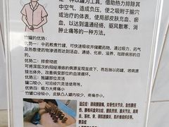 -北京中医药大学东方医院(方庄院区)