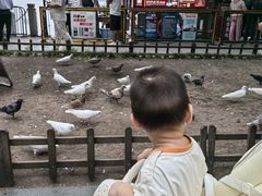 -杭州西湖仁和饭店(湖滨银泰in77店)