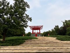 -大望京公园