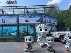 -青藏高原野生动物园