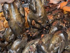 -老字号周记古蔺麻辣鸡·非物质文化遗产传承店