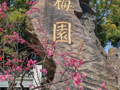 -无锡梅园公园