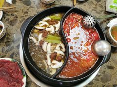 -乳仔牛牦牛汤锅 烤羊排(松潘古城店)