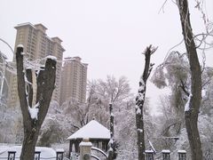 -黛秀湖公园