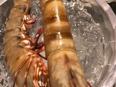 -半岛翡丽海鲜自助餐厅(观风亭店)