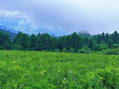 -驼梁风景区