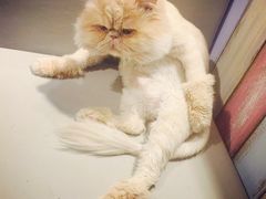 -小时光咖啡馆(开森度假森林店)