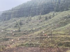 -云座·时光·观景咖啡厅(五爷庙店)