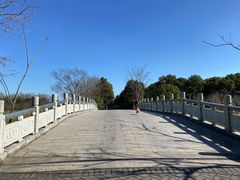 -上海海湾国家森林公园