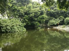 -成都市活水公园