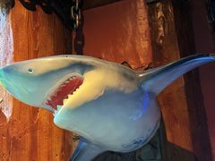 -太平洋海底世界