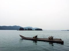 -东湖落雁景区