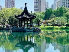 -和平公园