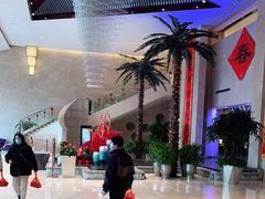 -常州环球恐龙城维景国际大酒店