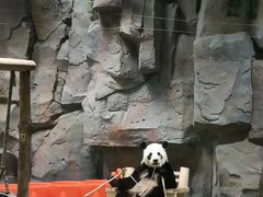 -栾川竹海野生动物园