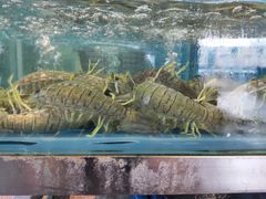 -渔人湾码头海鲜市场负二楼