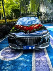 -宁波甬诚婚车(新典路店)