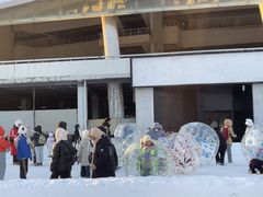 -沈阳奥体冰雪嘉年华
