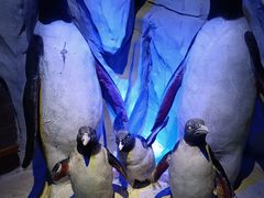 -太平洋海底世界