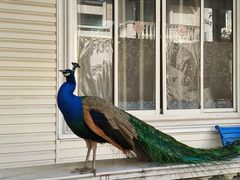 -金庭庄园酒店-停车场