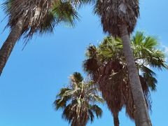 -仙岳公园