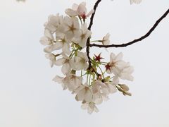 -龙美术馆(西岸馆)