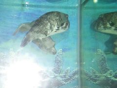 -泉州海丝野生动物世界