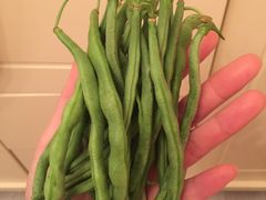 -金乐活美食(中街店)