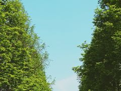 -嘉北郊野公园