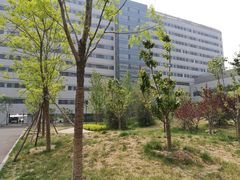 -首都医科大学附属北京天坛医院
