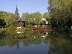 -瀛洲公园