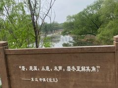 -北京麋鹿生态实验中心